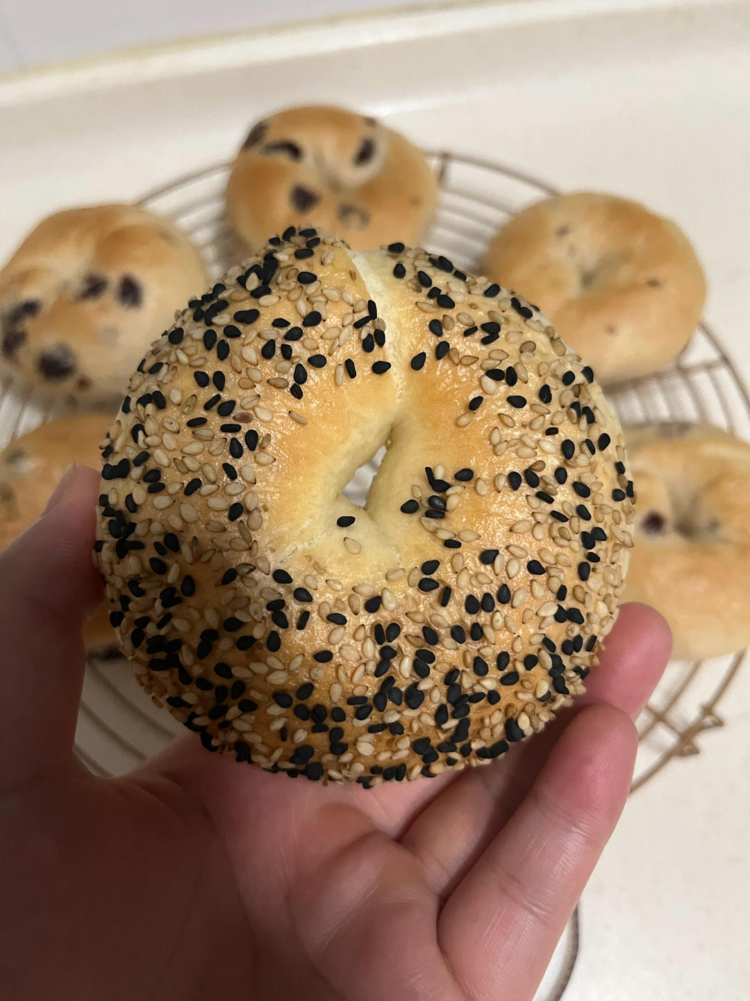 （波兰种）贝果