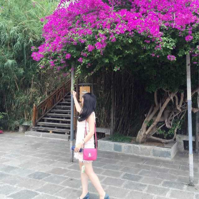 番茄妈妈01