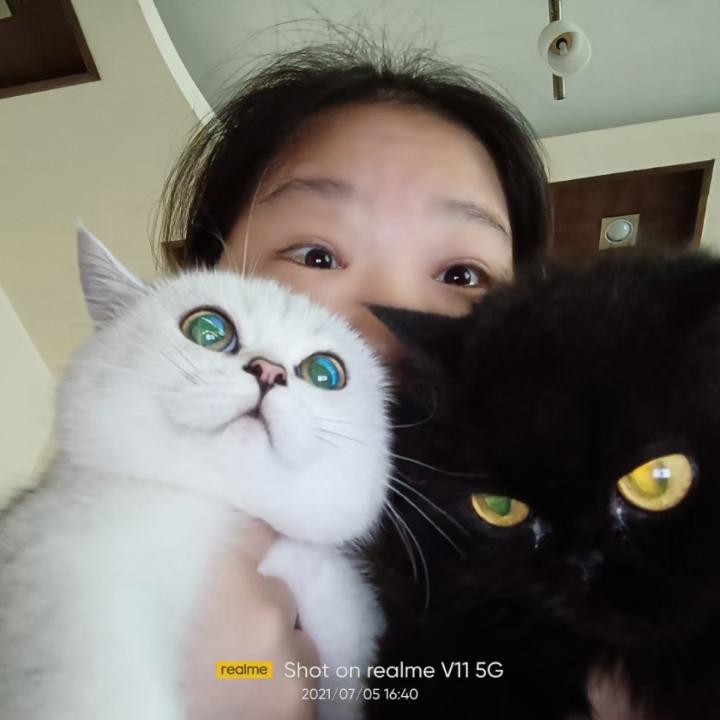 唐唐猫妈妈
