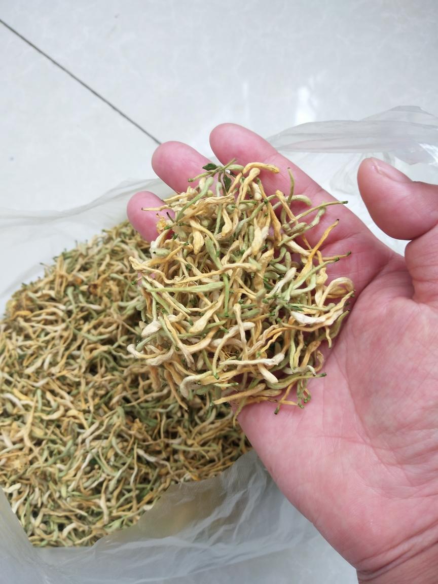 金银花茶的做法 步骤6