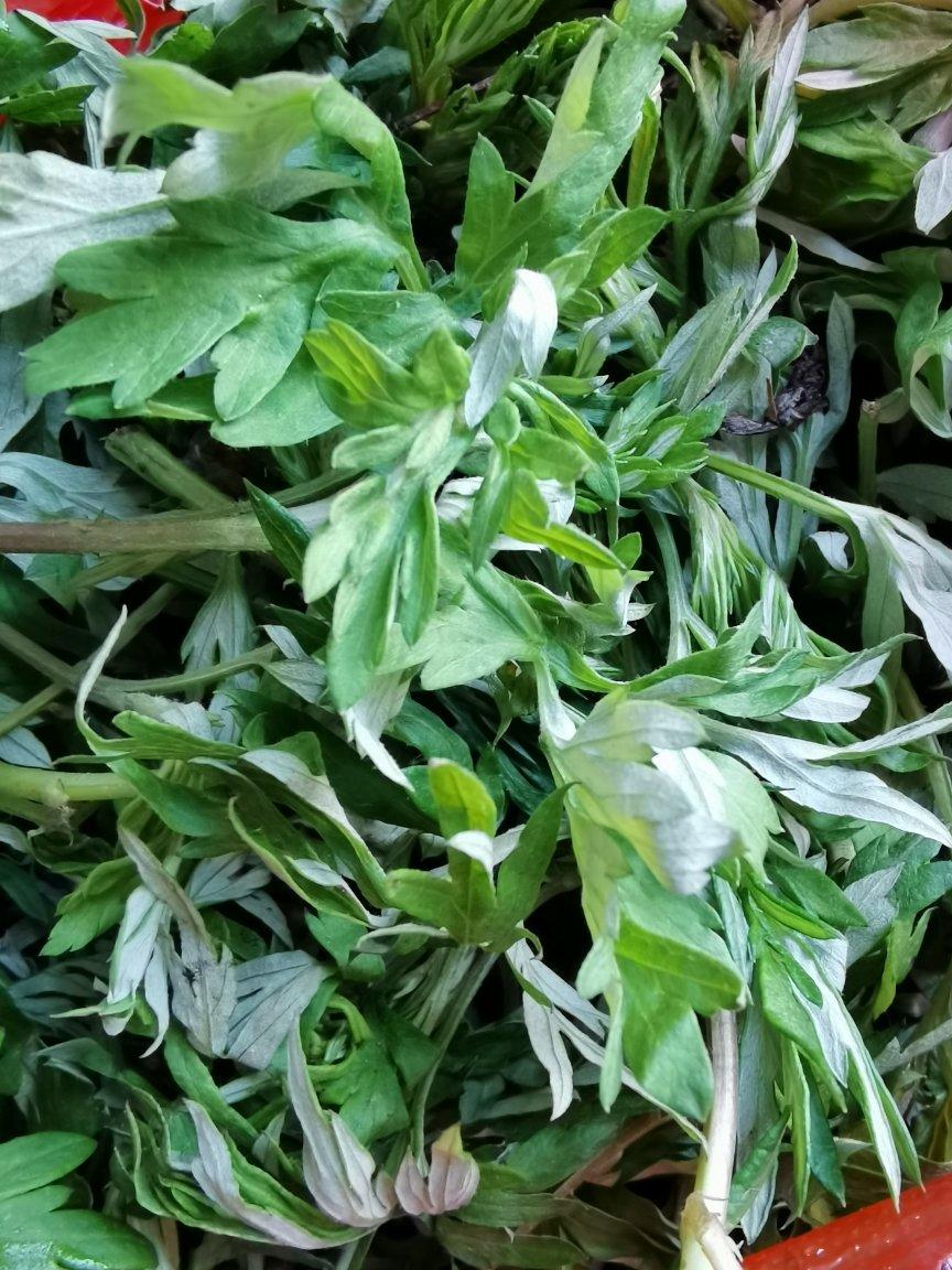 超详细艾草青团(咸蛋黄肉松馅）