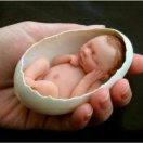 手机用户9834_rmic