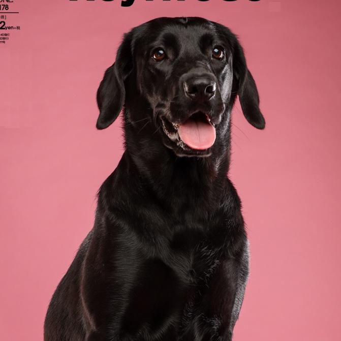 妮妮宠物鲜食的厨房