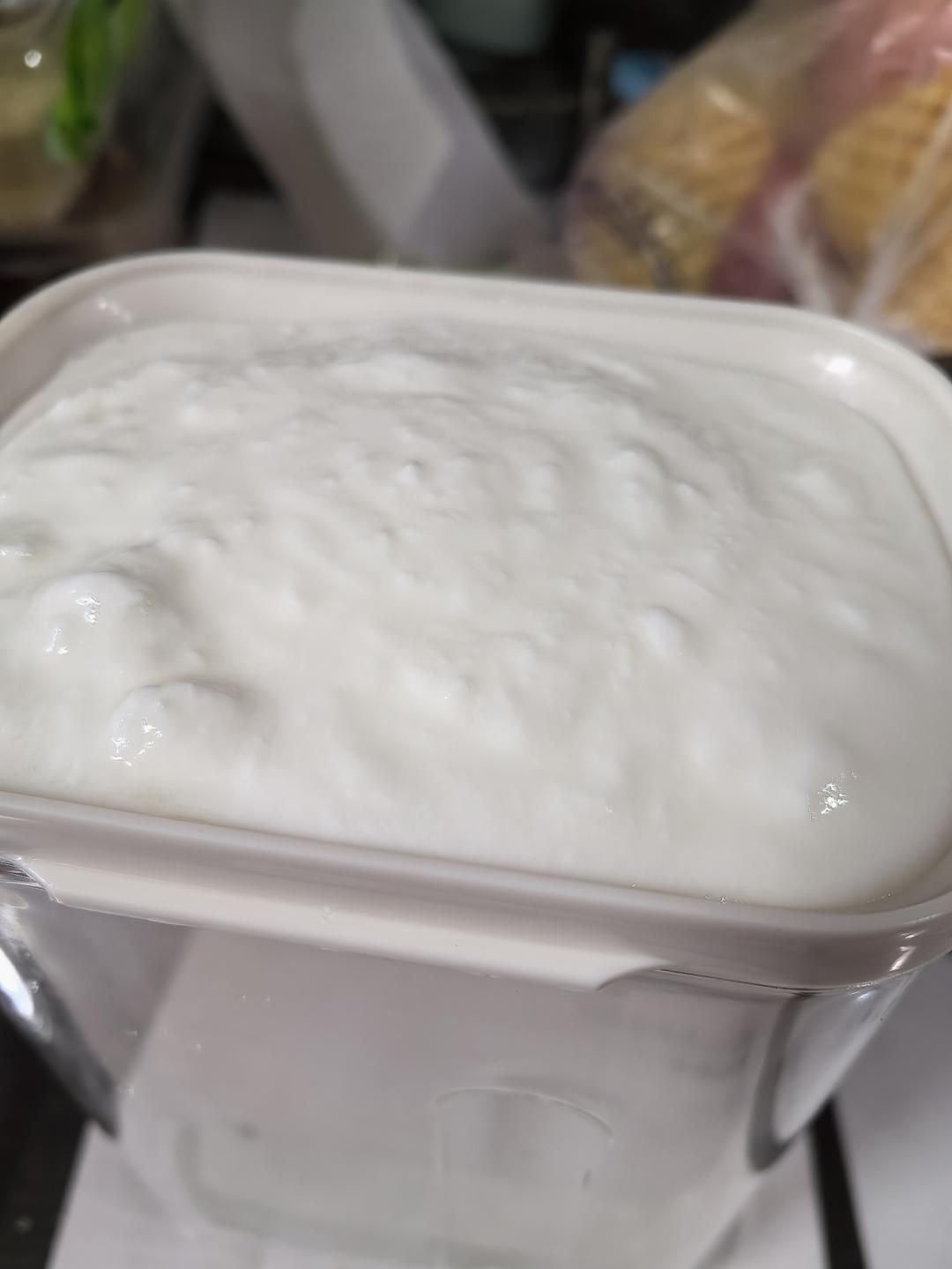 自制酸奶（0失败，无敌简单）