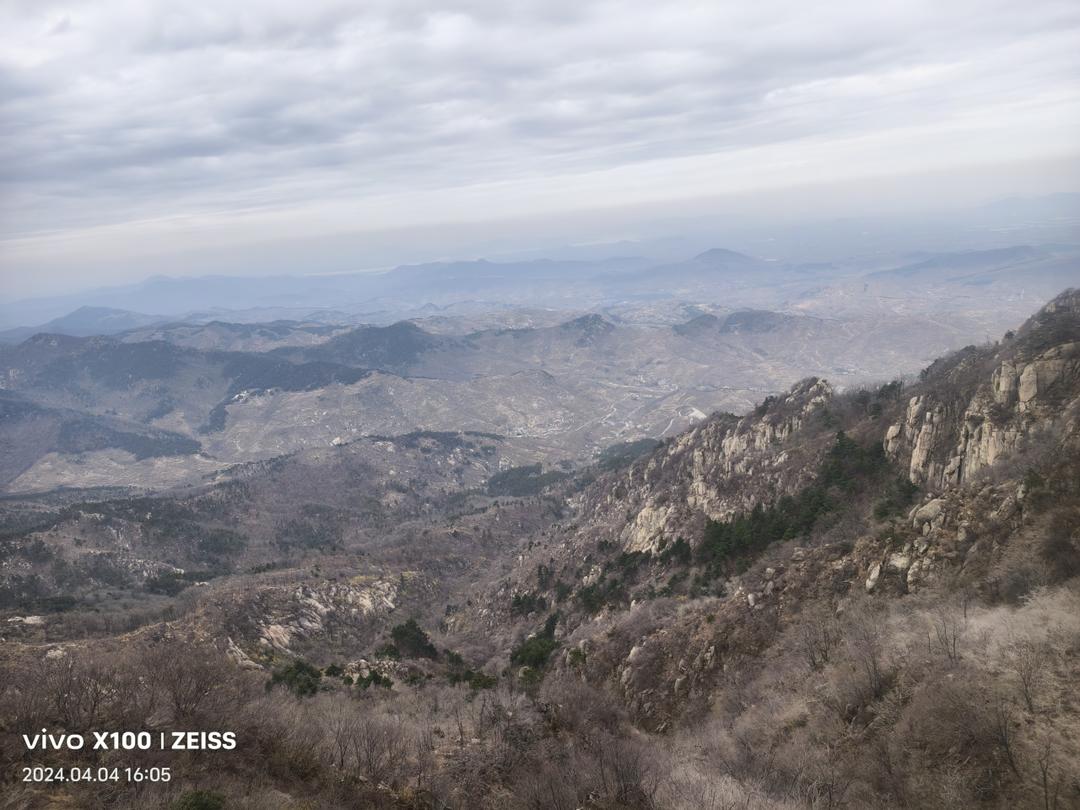 鸡腿炖土豆 上桌秒空盘 汤都喝干了！