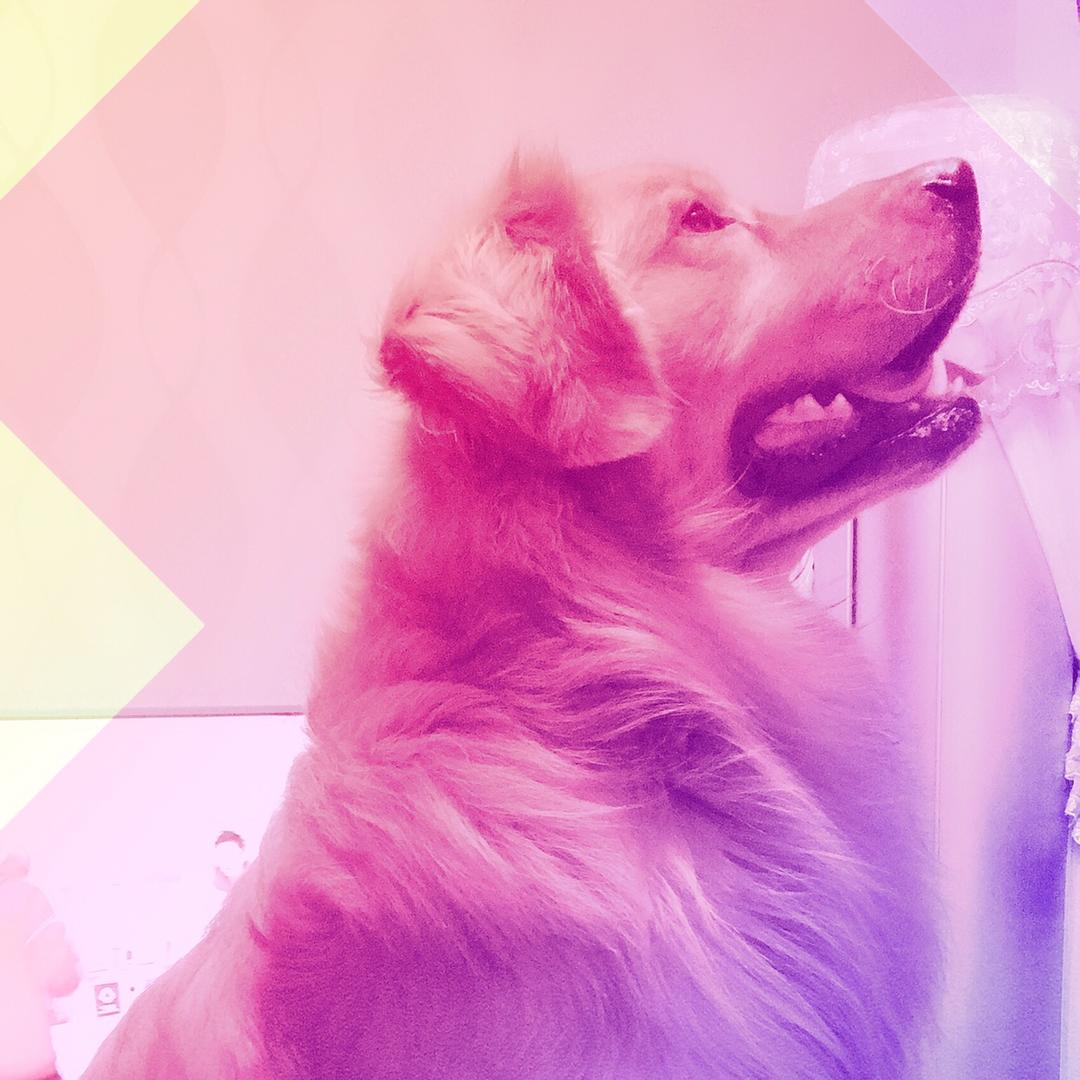 _男人下厨女人爱