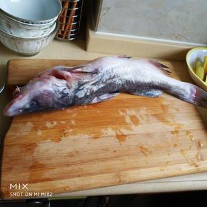 红烧鮰鱼懒人烧法（不用开油锅）味道灵的不得了的做法 步骤1
