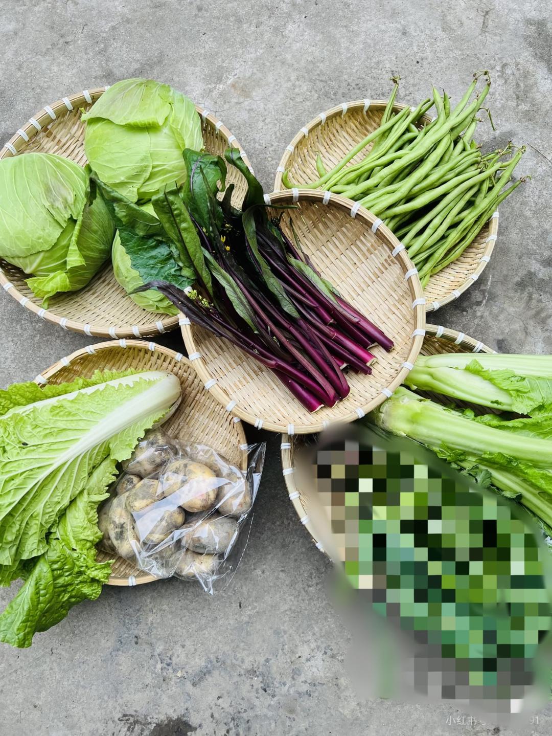 秋冬时令，次选蔬菜