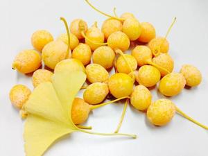 金叶祭 盐焗银杏果的做法 步骤1