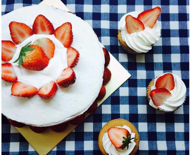 草莓奶油戚风蛋糕/纸杯蛋糕Cupcake
