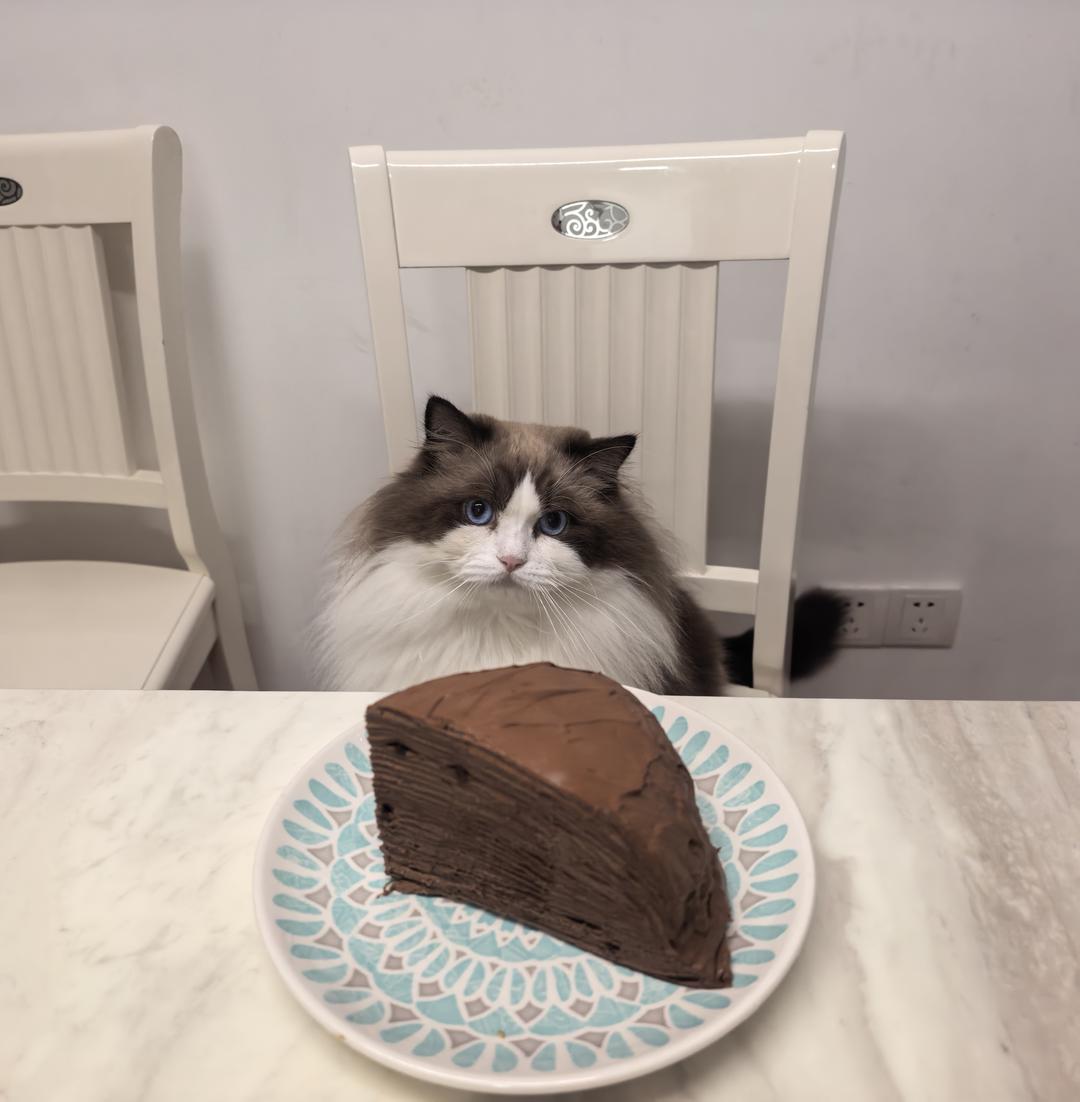 巧克力千层蛋糕