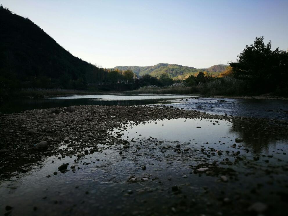 日日煮