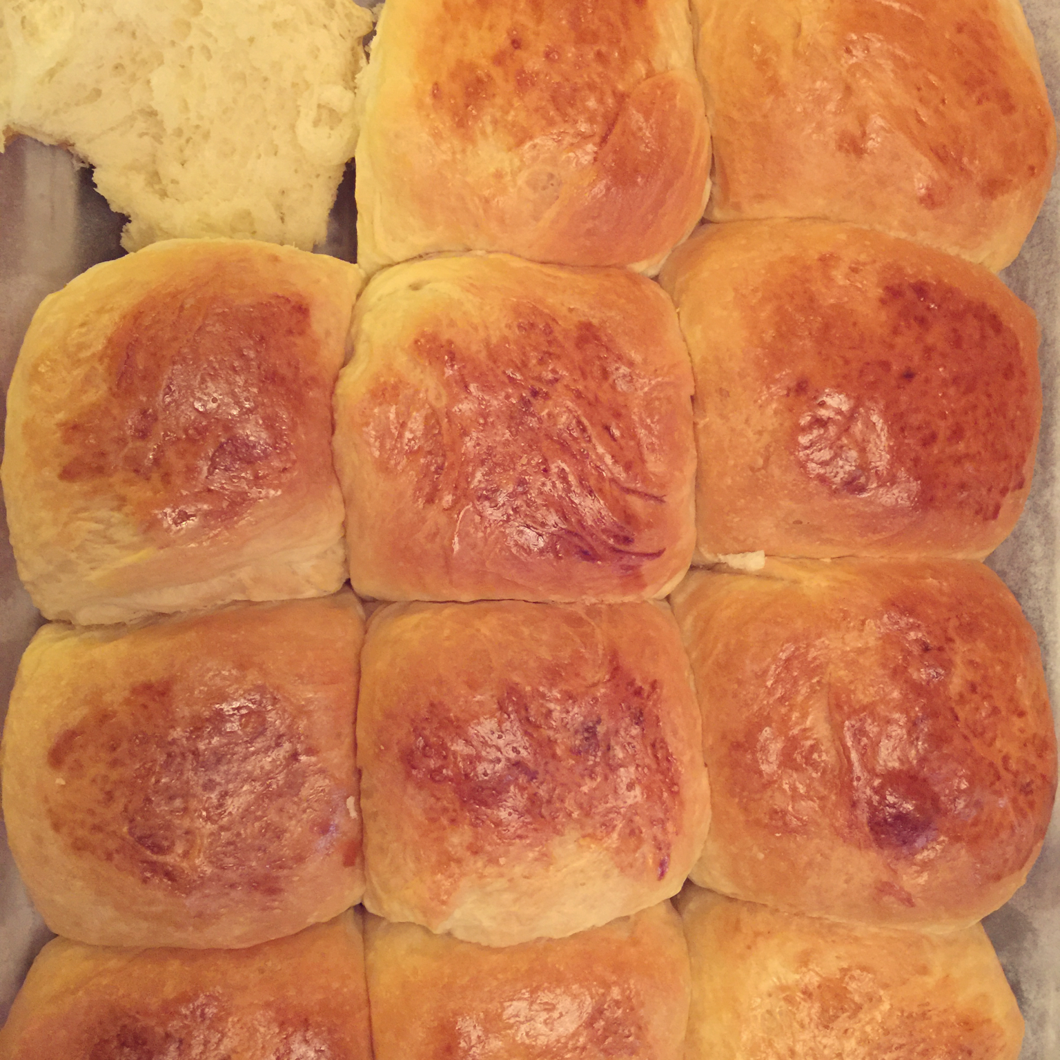 鲜奶油小餐包（一次发酵）