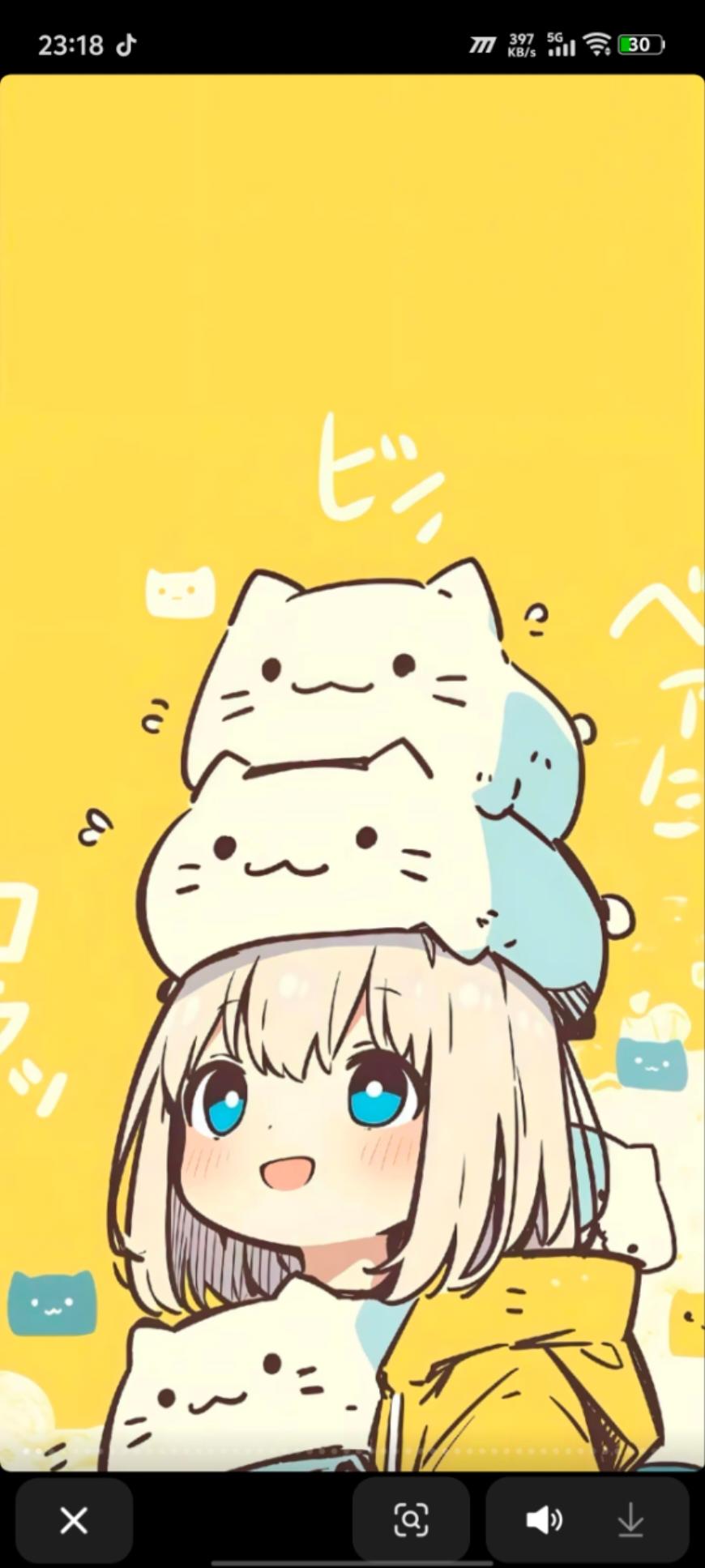 小浩作品