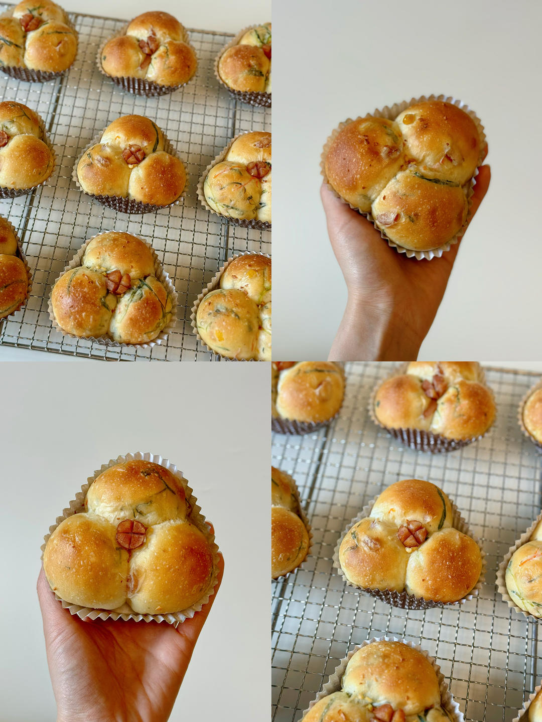 蒜香橄榄油野菜包｜吃春菜！冬去春来，相聚山野