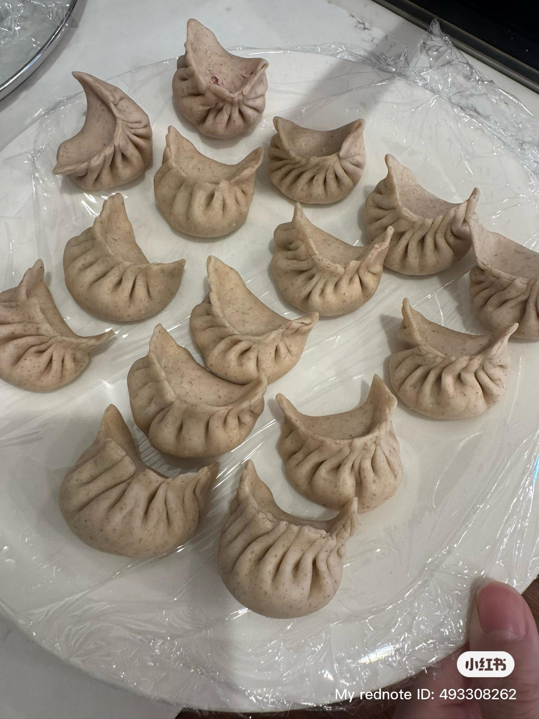 黄金脆底鲜肉锅贴