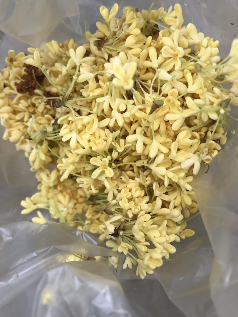 简单易做，零基础！桂花糕桂花马蹄糕简易版