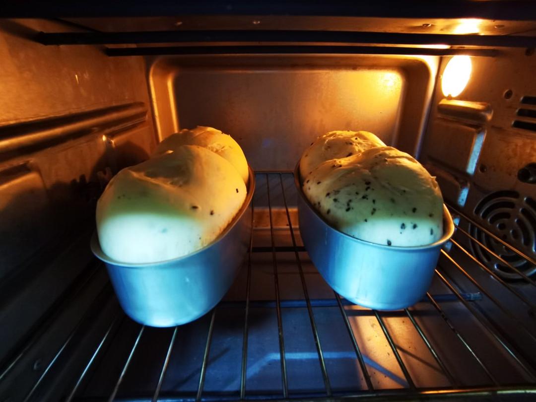 ✔️越嚼越香de黑芝麻咸吐司