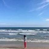 五柳小姐