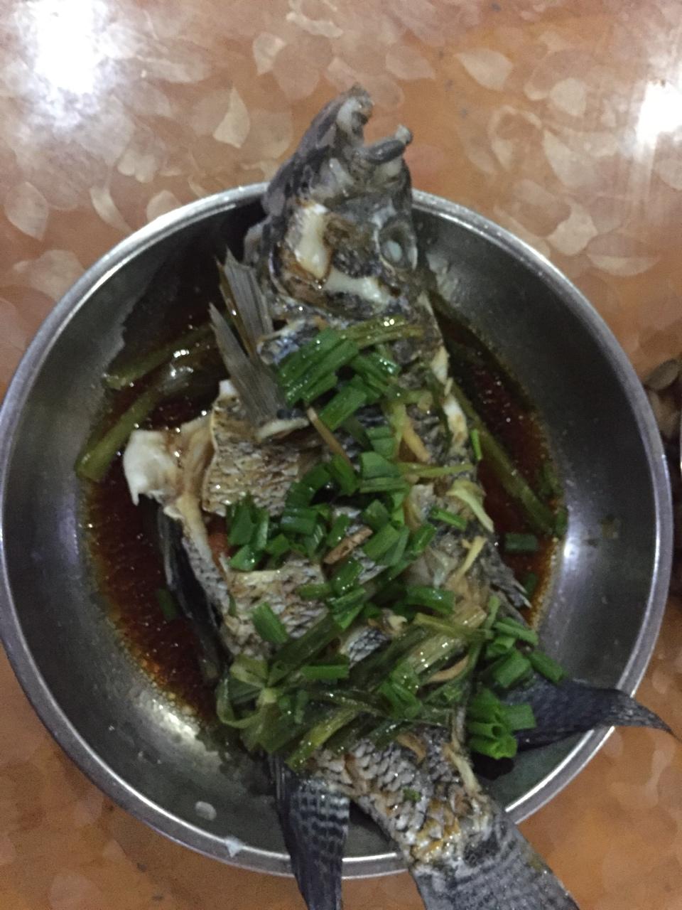 清蒸花斑鱼