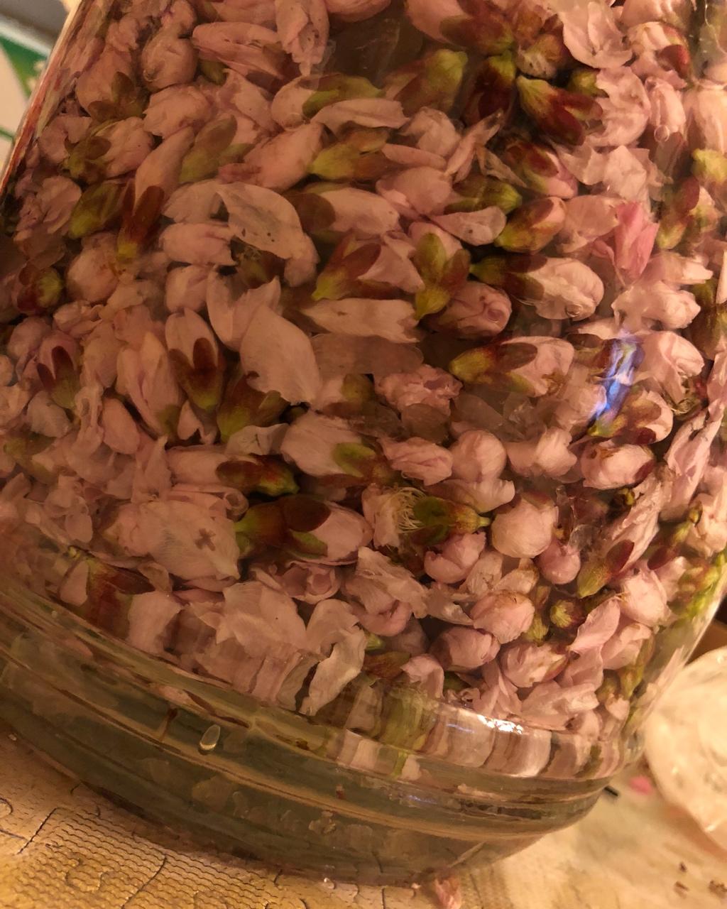桃花醉的二三事（四）儿
