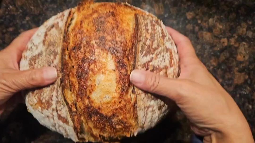 我的天然酵种系列( 持续添加)