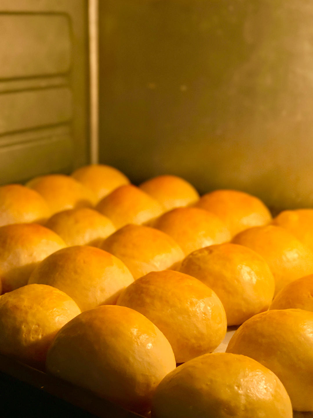 老面包 （普通面粉/中筋面粉+植物油/玉米油/黄油 各种规格版）