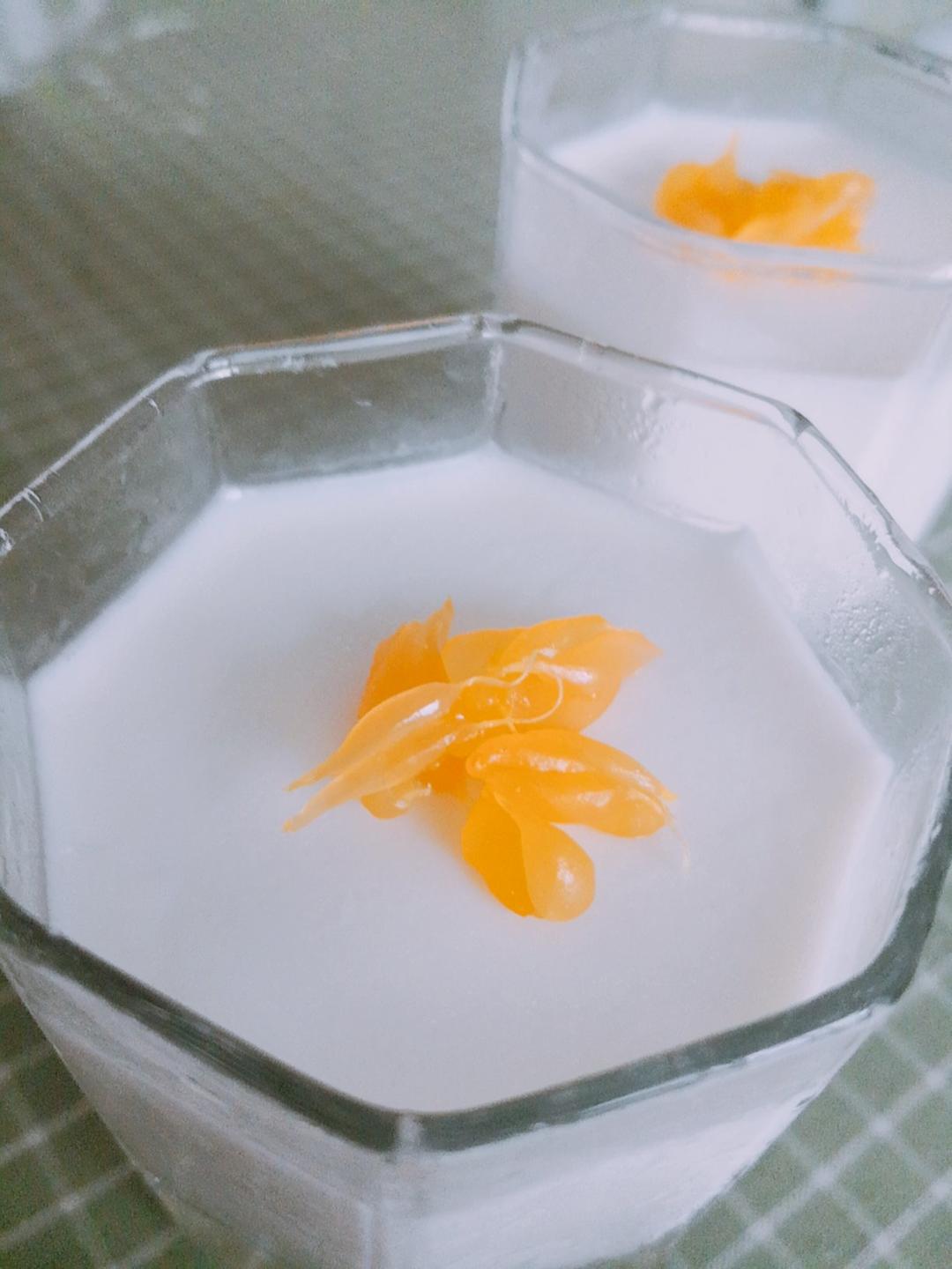 吃豆腐啦！——小嶋老师茉莉奶冻