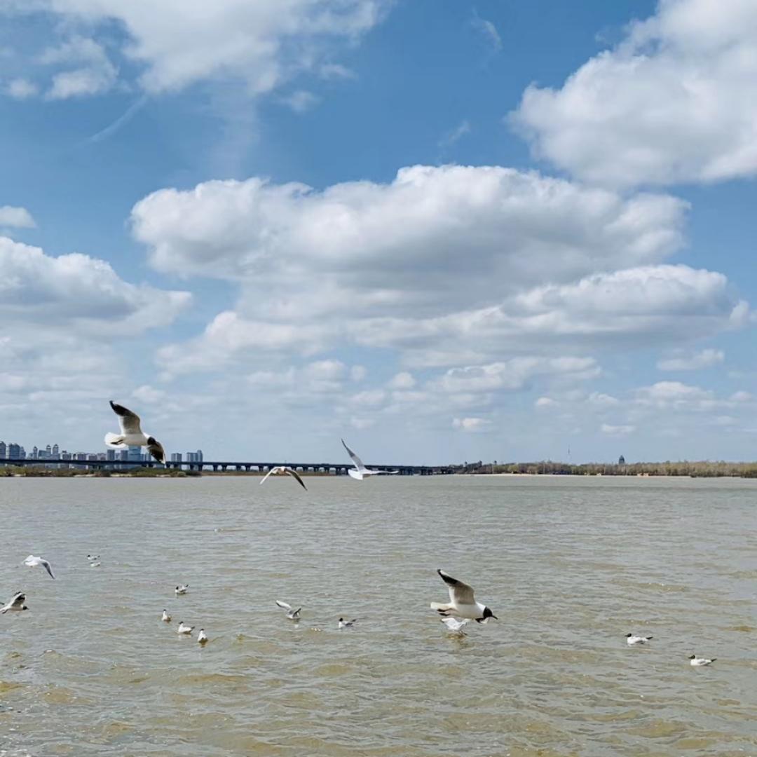 手机用户3510_oxgq