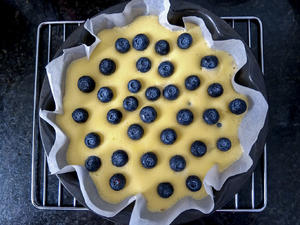 蓝莓乳酪蛋糕的做法 步骤9