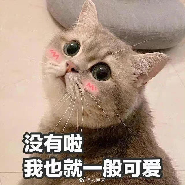 Kittt_