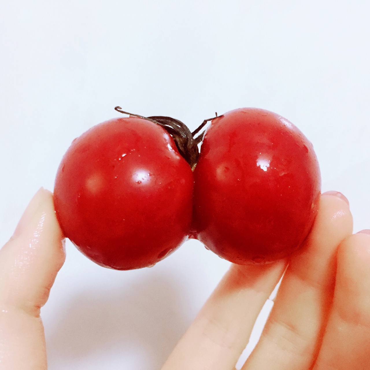 在10秒内把小西红柿切成心形