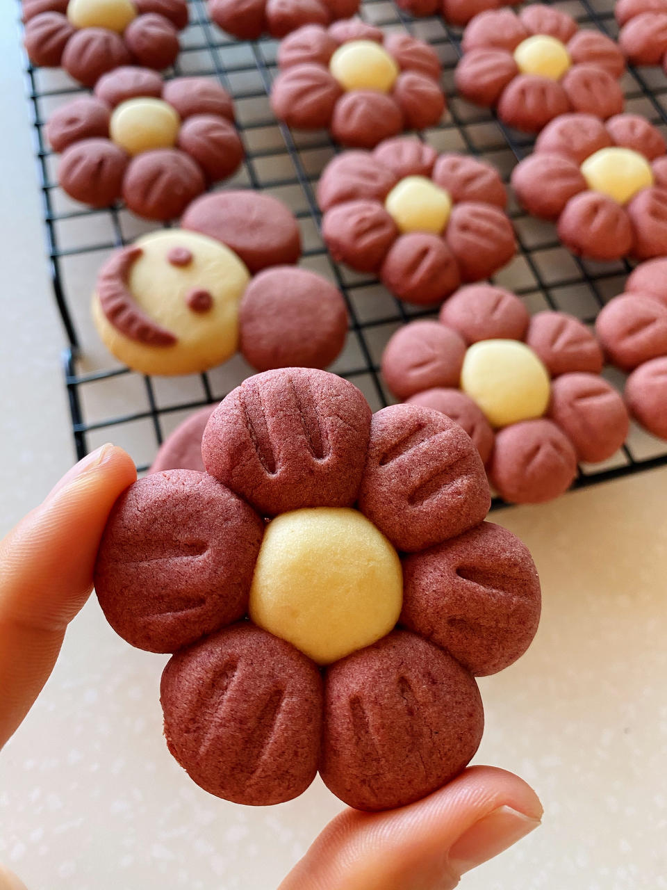小红花饼干|祝你新年多喜乐
