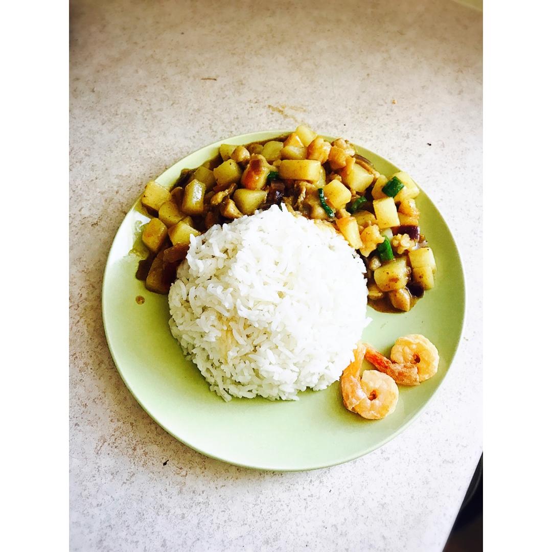 素咖喱饭