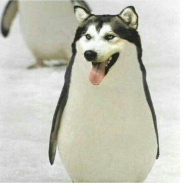 斯言甚善