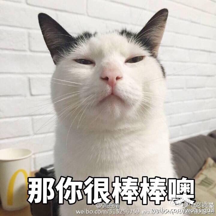 凯琳也叫瓜宝宝