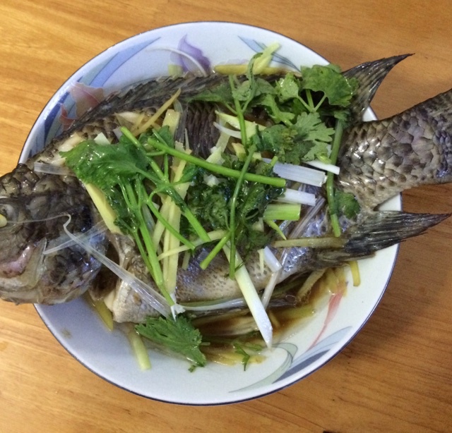 超入味清蒸鱼～清蒸鲈鱼桂花鱼（家常独创）