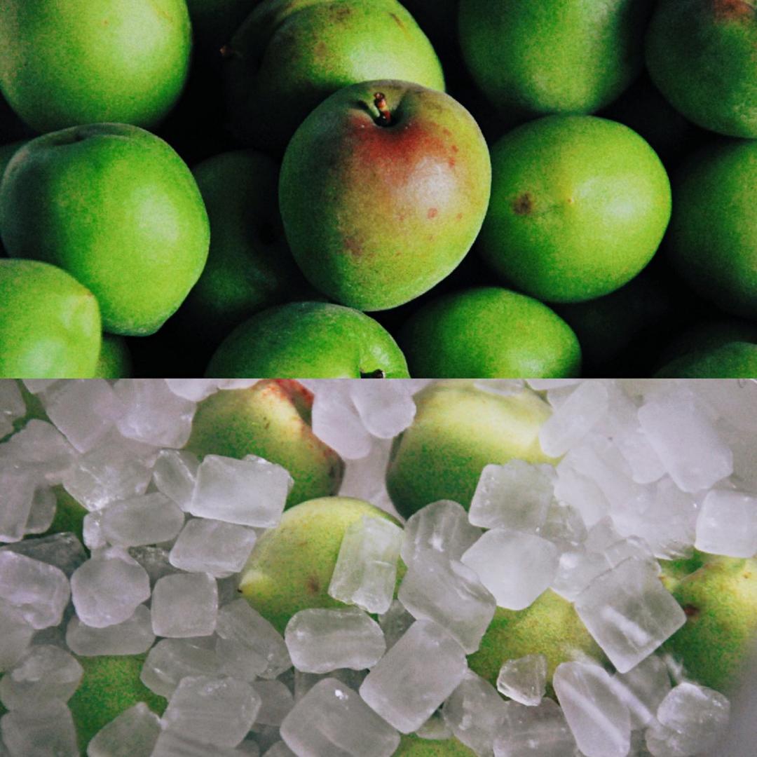 【青梅酒】梅子的沉醉时光（已填坑）