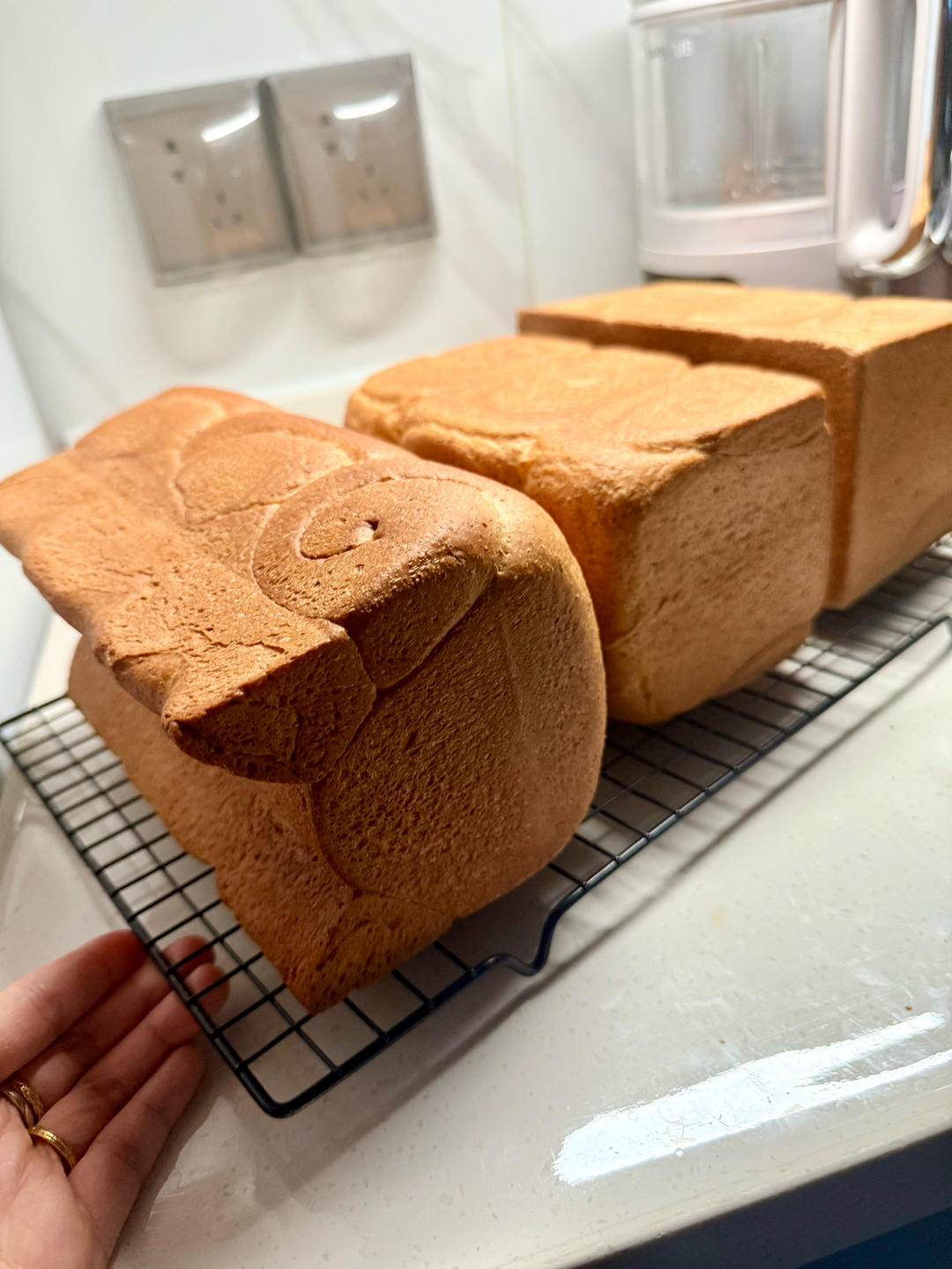 超软全麦北海道吐司