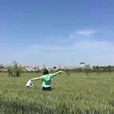 koala小雨的汪生活