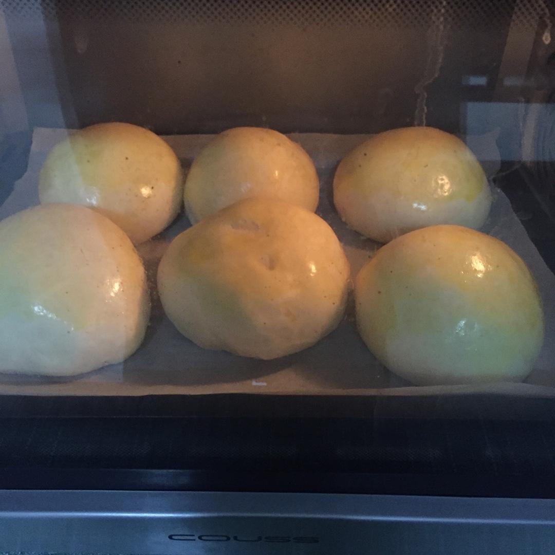 汉堡胚 poolish（波兰种）