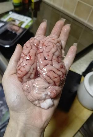 天麻川穹炖猪脑的做法 步骤1