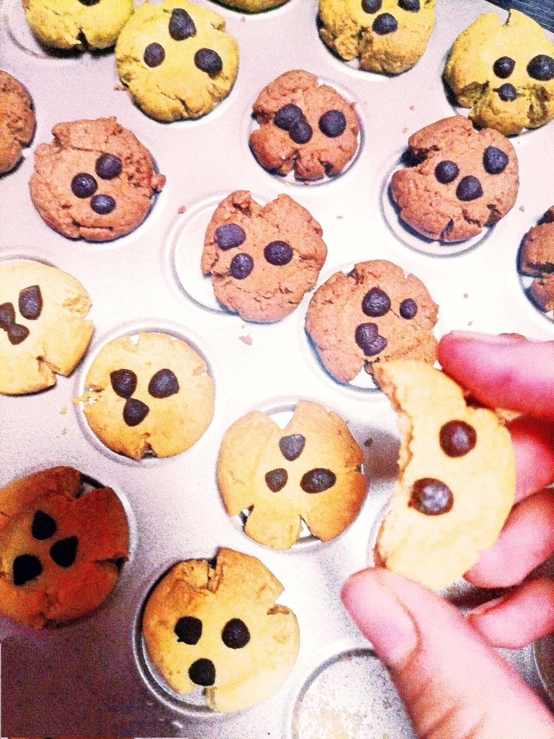 巧克力豆玛格丽特饼干🍪三种口味❗️入口即化，酥掉渣❗️