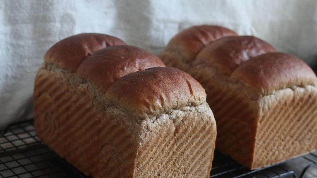 全麦波兰酵头吐司