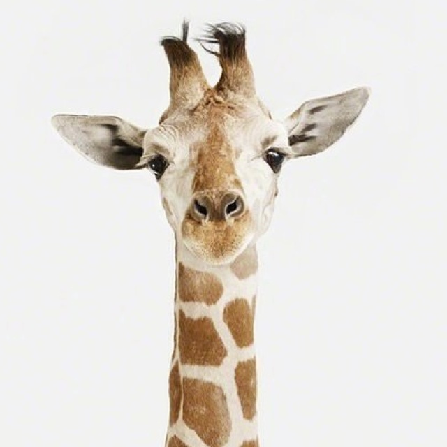 HJL-Jasmine的厨房