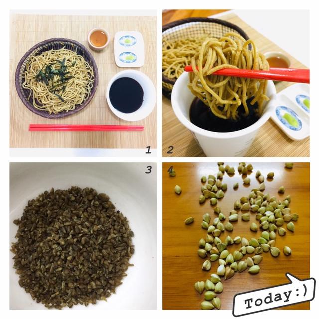 测试：甜荞麦和苦荞麦面条