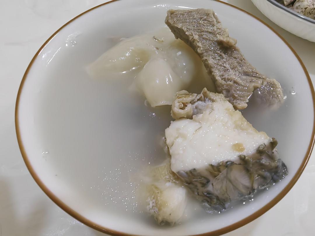 鲜鱼瘦肉鱼胶汤