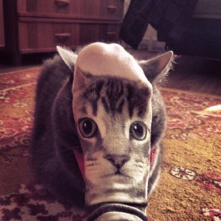 手机用户2798_1wyb