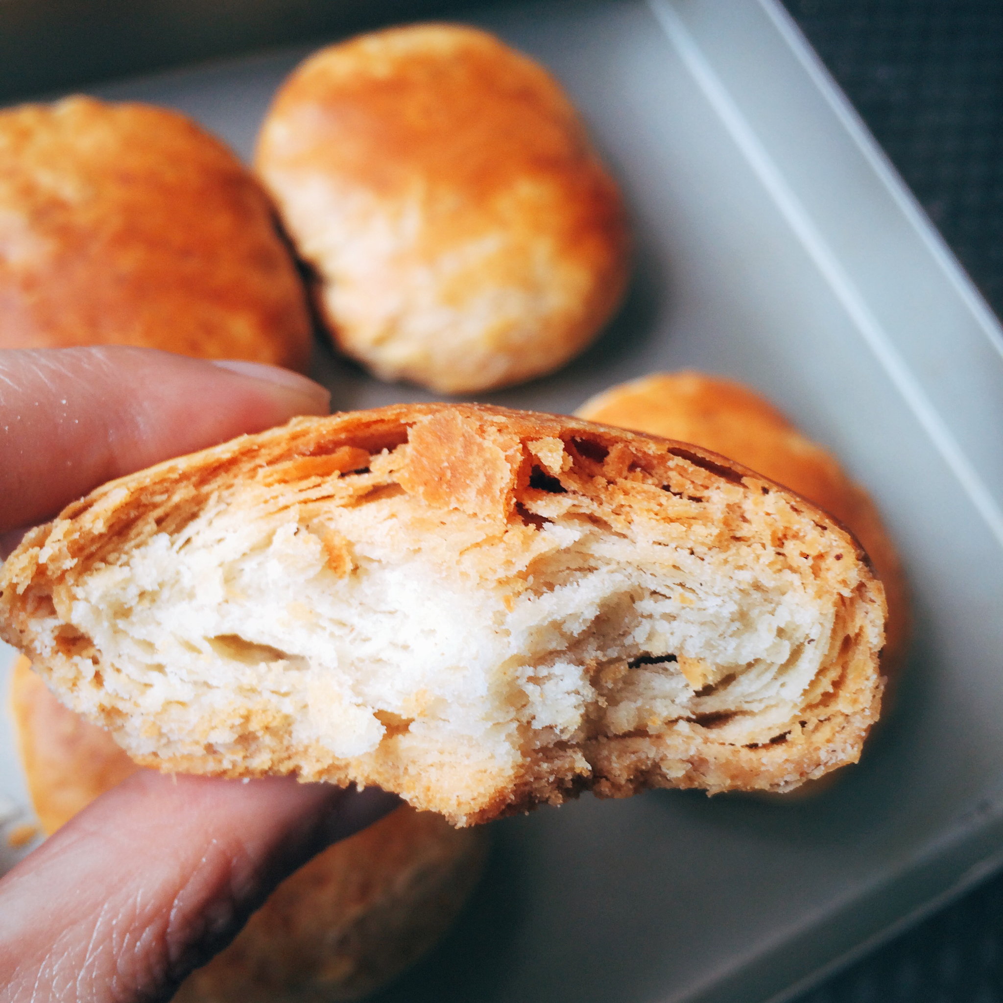 油酥烧饼(比麻酱烧饼更美味)