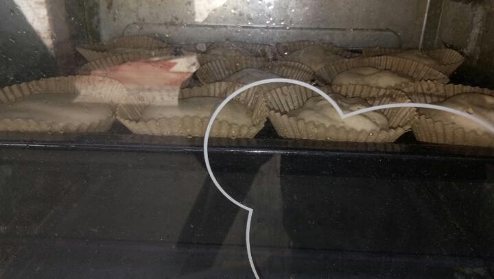 不回缩杯子蛋糕cupcake